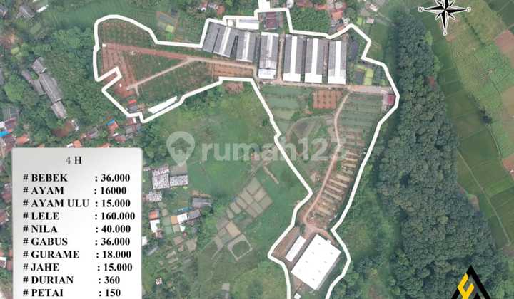 Bonus Land for Livestock and Plantation, Rumpin, Bogor Location, 4 Hectares.