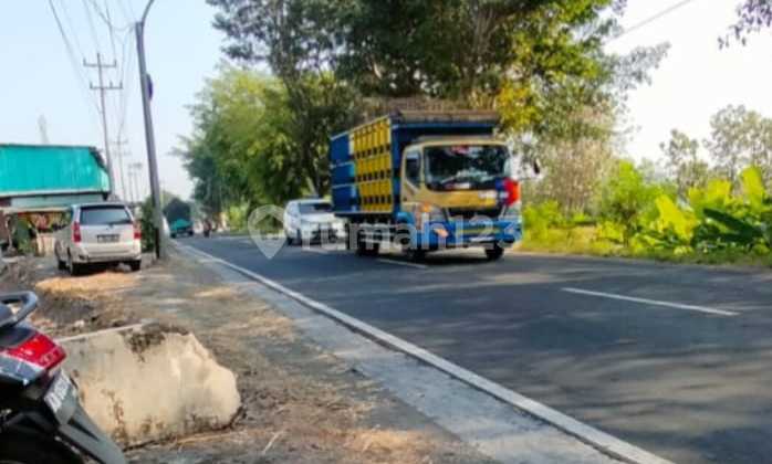 Dijual Sawah Kering Strategis di Jaten Karanganyar, Luas 1 Ha BU! 1