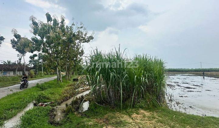 Dijual tanah zona merah industri lokasi Ngawi, Luas 2.4 Ha BU! 2