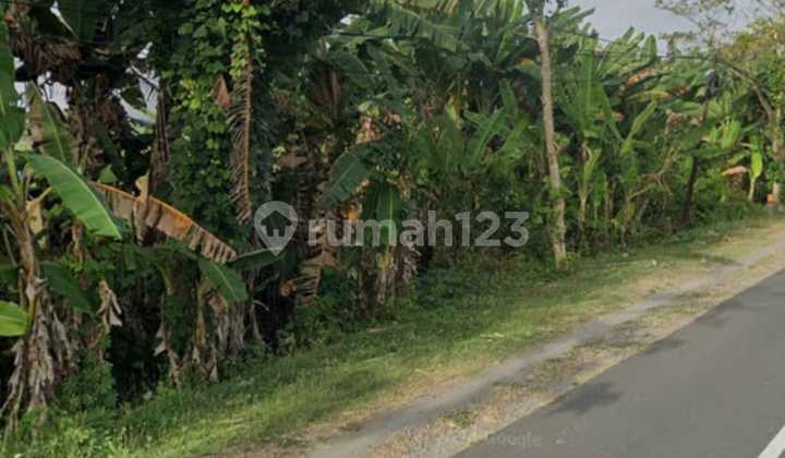 Lahan Zona Industri Strategis Lokasi Sambungmacan Sragen Luas 6 Ha