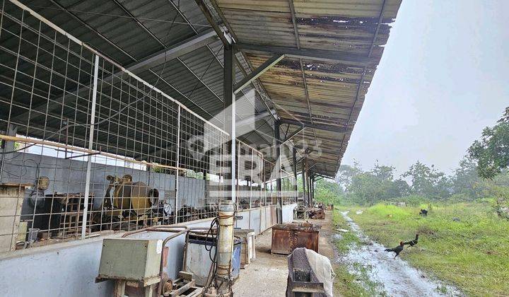 DIJUAL TANAH - Lokasi Jl. Padat Karya, Curug. 2