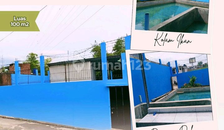 Kolam Ikan Strategis Dekat Borma Cinunuk Bandung Timur Kolam Ikan Strategis Dekat Borma Cinunuk Bandung Timur