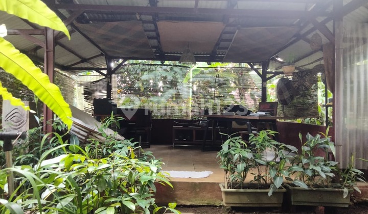 Dijual Rumah Kebun Luas di Pakuan, Bogor Selatan, Kota Bogor 2