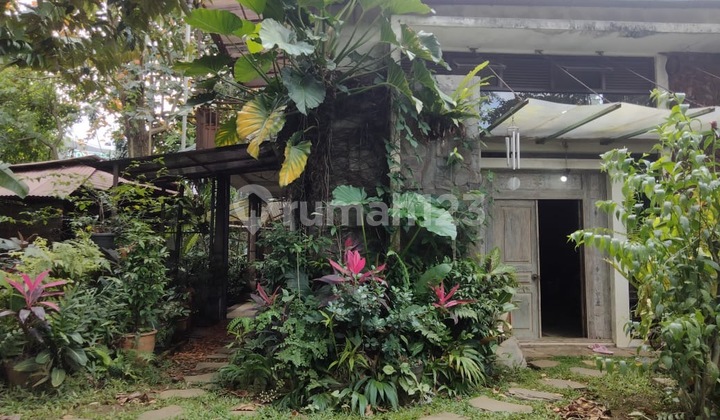 Dijual Rumah Kebun Luas di Pakuan, Bogor Selatan, Kota Bogor