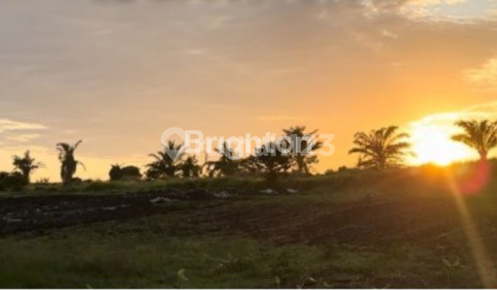 LAND FOR SALE KEDUNGU