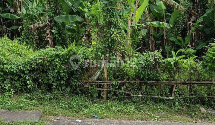 Land in a Strategic Location Suitable for Business - Peguyangan, North Denpasar