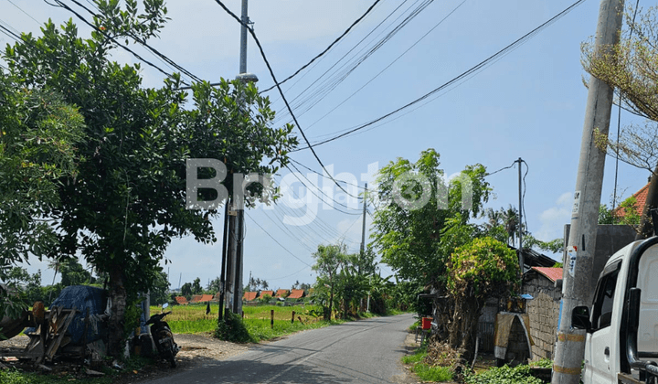 Disewakan Ruko Lokasi Mengwi Badung 1