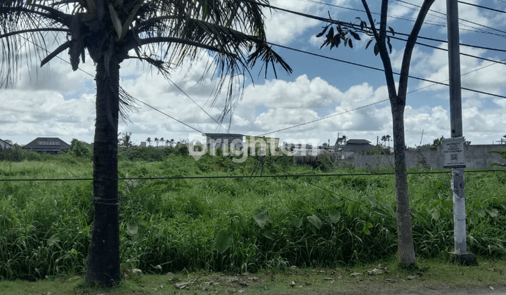 Disewakan Tanah Lokasi Canggu 1