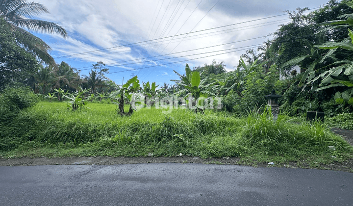 Jual Tanah Murah Perbatasan Badung Tabanan 1