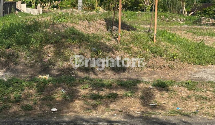 Disewakan Tanah Murah Tabanan 2