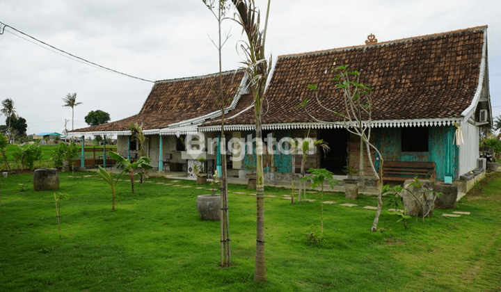 Disewakan Tanah Plus 2 Rumah Kayu 1