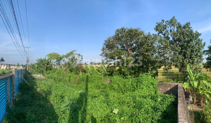 Nyitdah Land, Tabanan