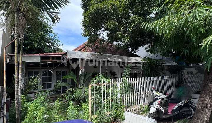 Investasi Cerdas: Tanah Murah Di Pusat Kota – Jalan Mangga 2 M 2