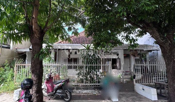 Investasi Cerdas: Tanah Murah Di Pusat Kota – Jalan Mangga 2 M 1