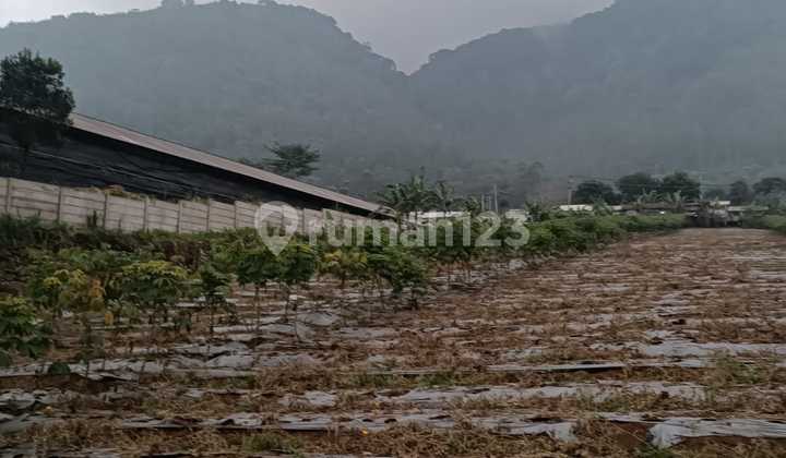 Land in Ciheuleut, Kadungora, Garut / Bandung.