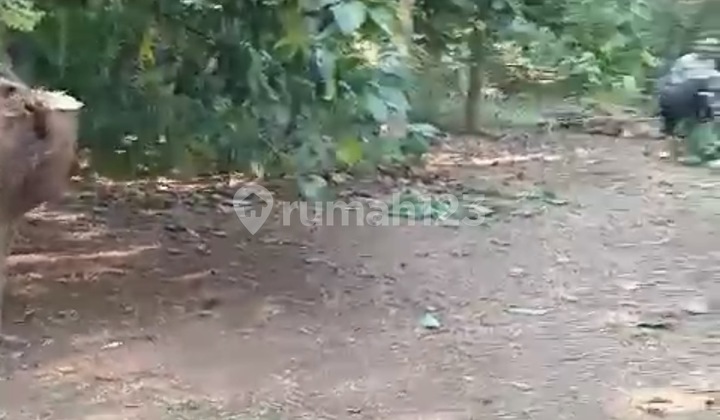 Jual Tanah Kebun Wanayasa Purwakarta , Cocok Villa/ Rumah dan Kebun. Udara Sejuk Tanah di Wanayasa SHM Jual Tanah Kebun Wanayasa Purwakarta , Cocok Villa/ Rumah dan Kebun. Udara Sejuk Tanah di Wanayasa SHM