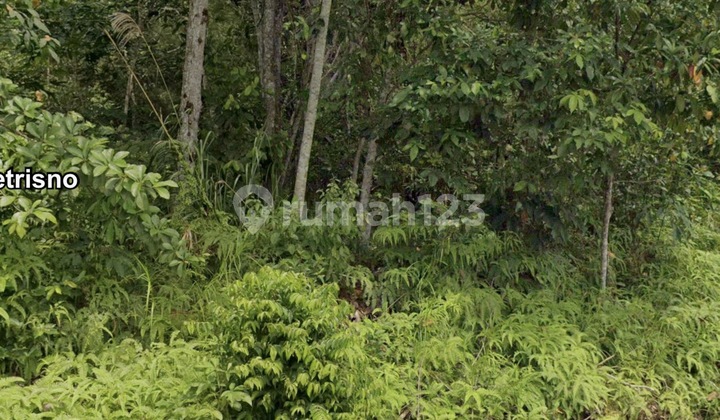 Land for Sale by the Main Road, Karang Joang Balikpapan