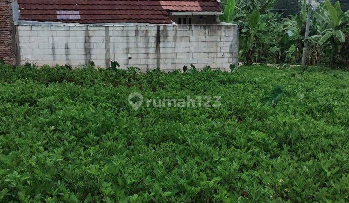 Tanah Strategis di Patemon, Bukit Sari, Semarang 2