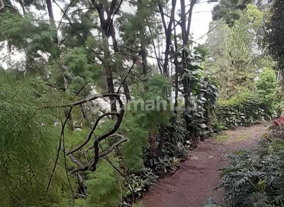 Jual Rumah Mewah Hitung Tanah 2