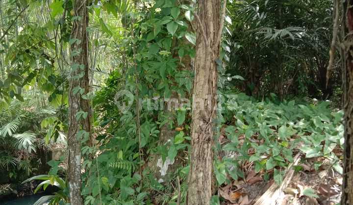 Special Location Land