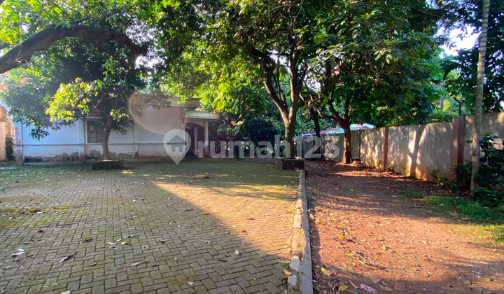 Lahan Segede Gaban, Harga Masih Waras, Jarang Ada di Jakarta! Lahan Segede Gaban, Harga Masih Waras, Jarang Ada di Jakarta!