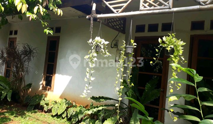 House for Sale in Villa Bintaro Indah House House for Sale in Villa Bintaro Indah House