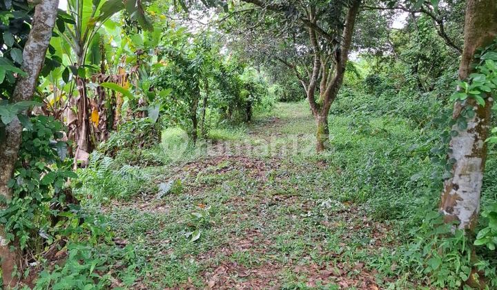 Harga Masih Murah! Kavling Luas SHM Tangerang Harga Masih Murah! Kavling Luas SHM Tangerang