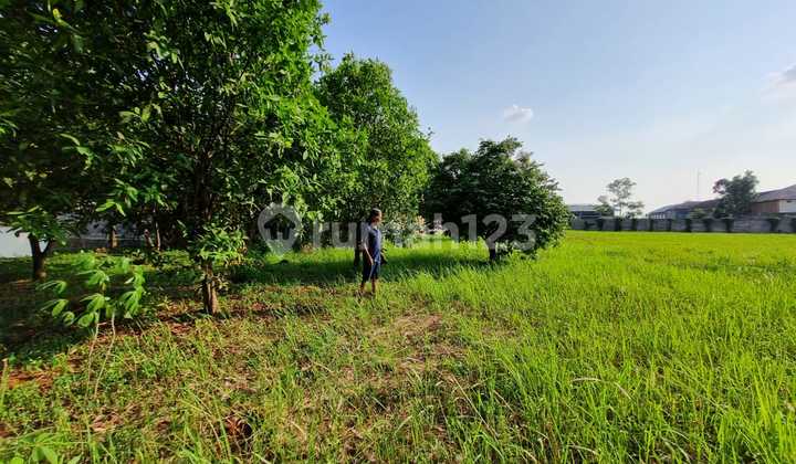 JUAL CEPAT! Lahan Luas Nempel Gading Serpong Cocok Untuk Gudang
