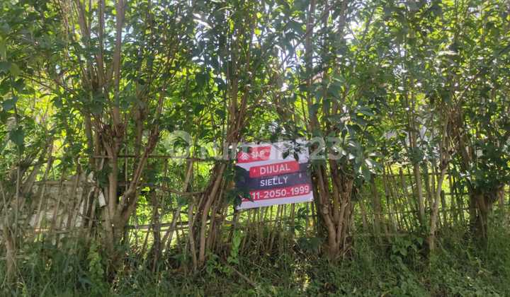 Kavling Premium Setiabudi Regency Bandung Lokasi Strategis & Asri