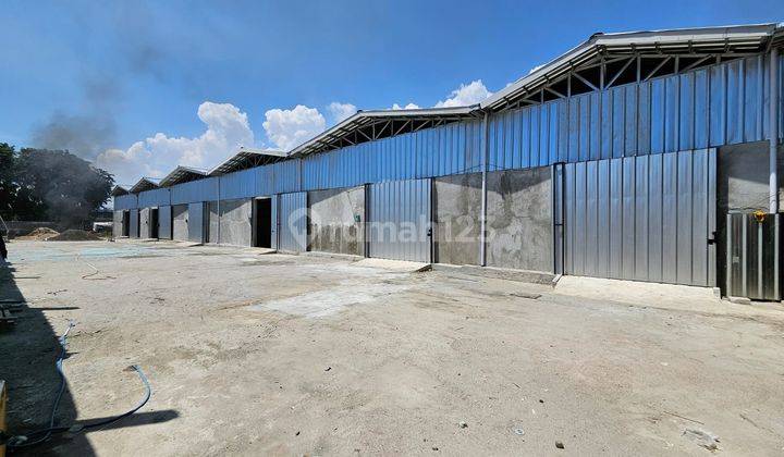 Disewakan Gudang Kapuk Muara Jakarta Utara 1