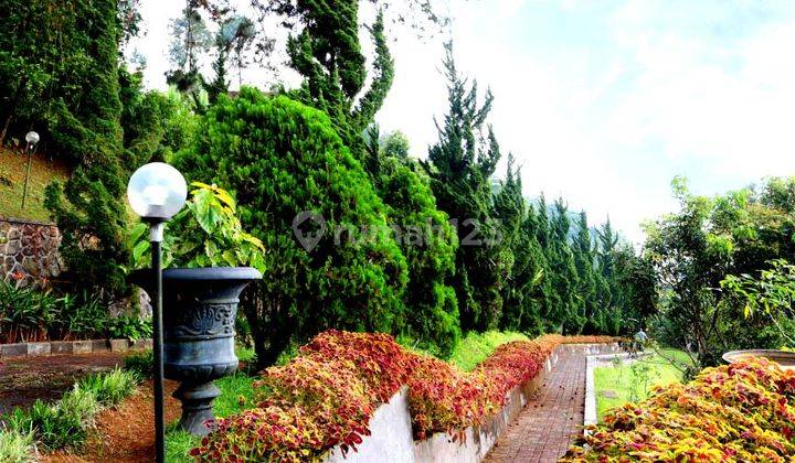 Villa Modern Cantik Eksotis Mega Mendung Cisarua Bogor 2