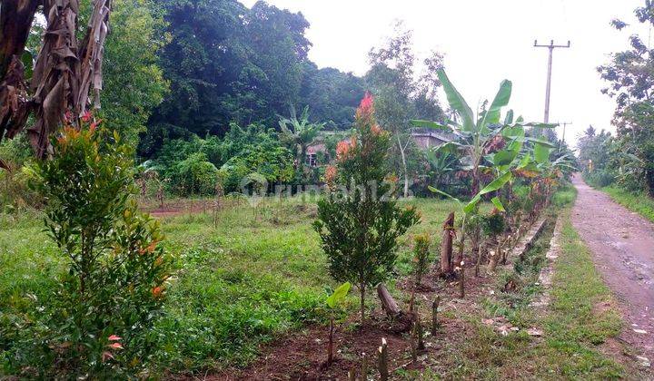 Tanah Jl Raya Pandeglang Sindangsari Pabuaran Serang Banten 3