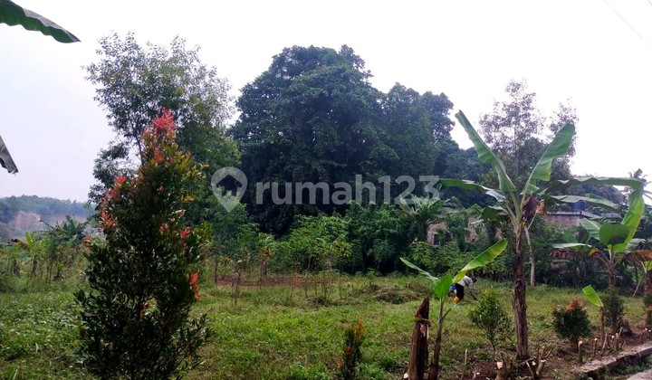 Tanah Jl Raya Pandeglang Sindangsari Pabuaran Serang Banten 4