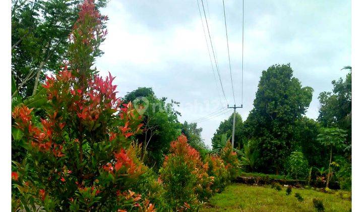 Tanah Jl Raya Pandeglang Sindangsari Pabuaran Serang Banten 9