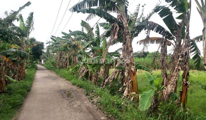 Tanah Paling Murah Pantai Harapan Jaya Muara Gembong Bekasi