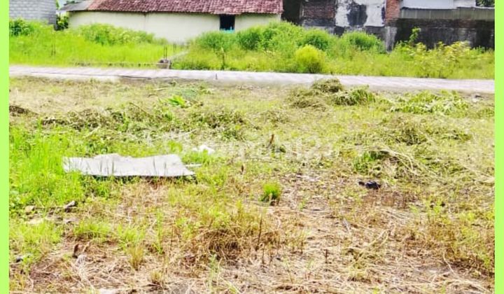 Yogyakarta Kaliurang Land Mature SHM Yard Ready