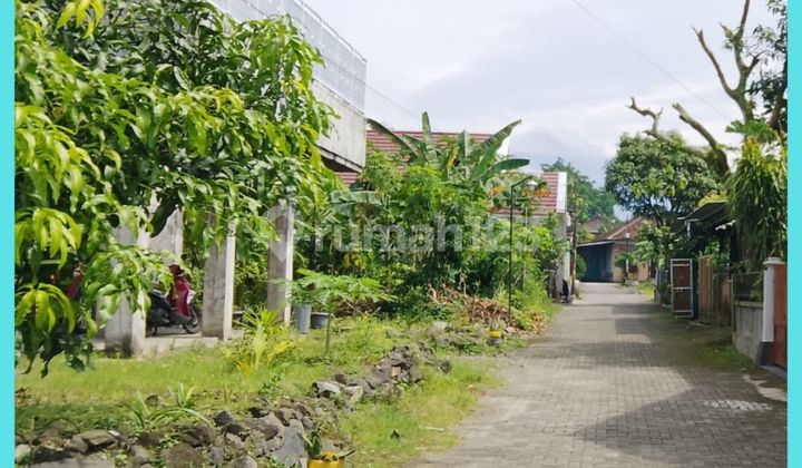 Tanah Jogja 800 Meter Dari Maria 1 Villa Jl Rejodani