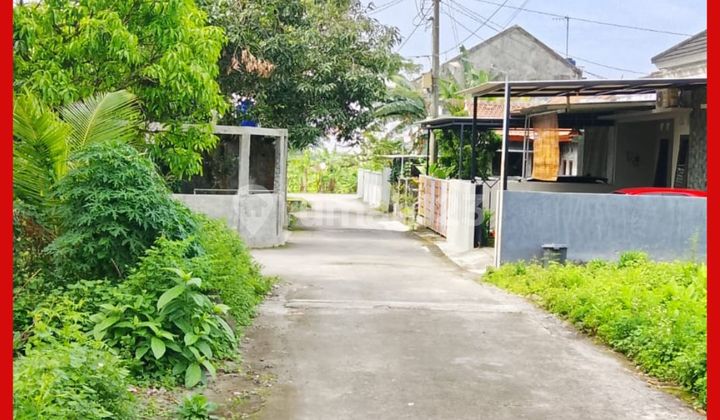 Tanah Jogja Area Jl Rejodani & Jl Palagan SHM Pekarangan