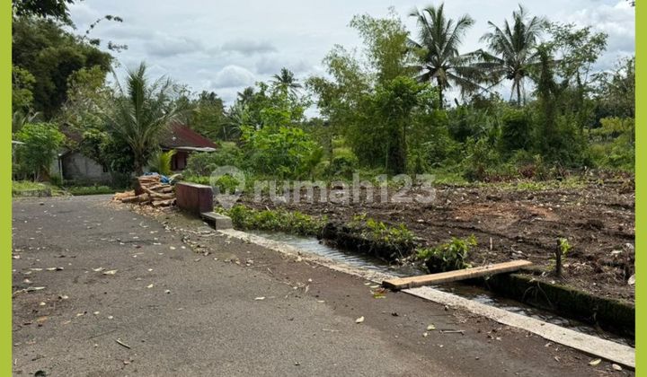 Jogja Land SHM West Yard Jl Palagan KM 14