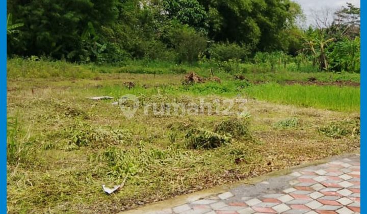 Yogyakarta Land Ready for Name Transfer 1Km from Jl Kaliurang KM 10