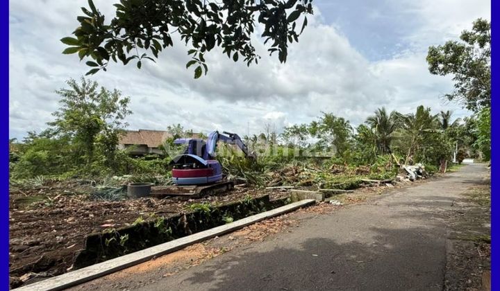 Tanah Jogja Area Jl Palagan 6 Menit Dari Puskesmas Ngaglik Tanah Jogja Area Jl Palagan 6 Menit Dari Puskesmas Ngaglik
