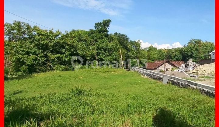 Tanah Jogja Villa Gamping SHM Siap Bangun AJB Notaris Tanah Jogja Villa Gamping SHM Siap Bangun AJB Notaris