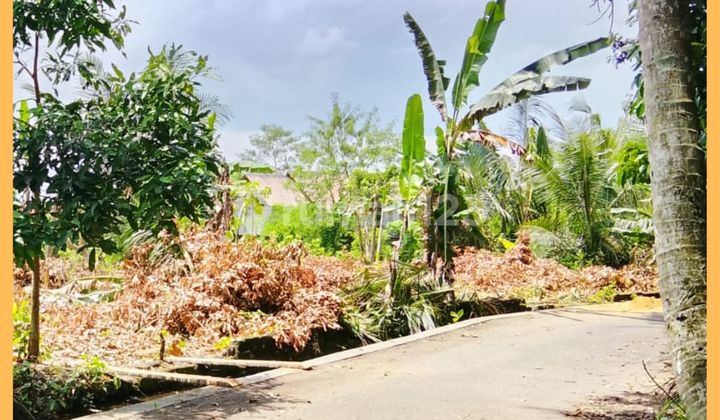 Tanah Jogja Sleman Area Kadilobo Resort Jl Palagan Km 14