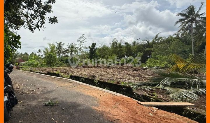 West Jogja Area, Jl Palagan Km14, IDR 2M/Meter Negotiable