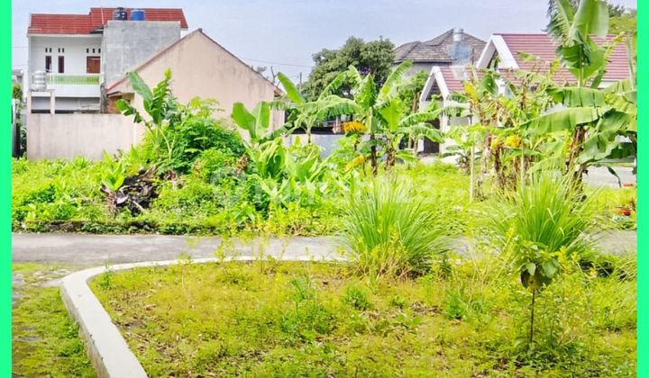 Tanah Jogja Hook Area Jl Rejodani Palagan SHM Pekarangan Tanah Jogja Hook Area Jl Rejodani Palagan SHM Pekarangan