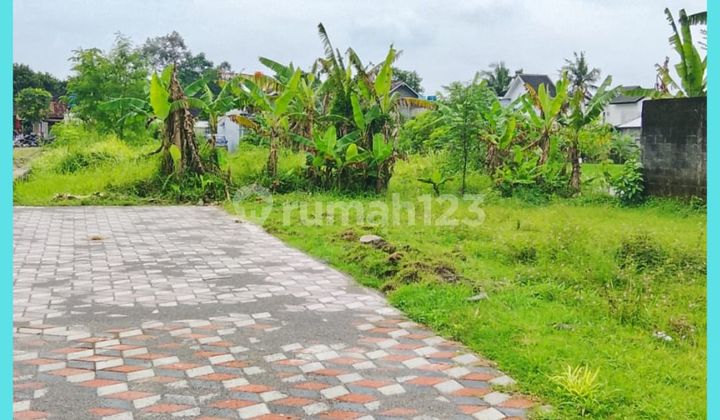 Jogja Maguwoharjo Land 800 Meters to Unriyo Tajem Campus. Jogja Maguwoharjo Land 800 Meters to Unriyo Tajem Campus.