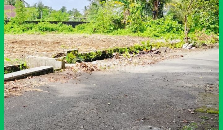 Tanah Jogja Strategis 1Km Jl Palagan Sleman SHM Pekarangan