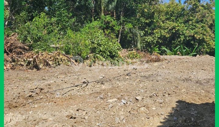 Land in Gamping, Sleman, Jogja Area, Ready to Build with SHM (Certificate of Land Ownership) for Yard.