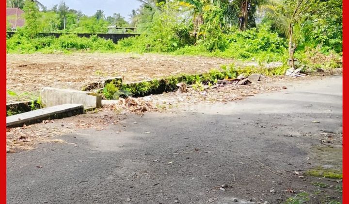 Yogyakarta Sleman Land SHM Yard 1Km From Jl Palagan