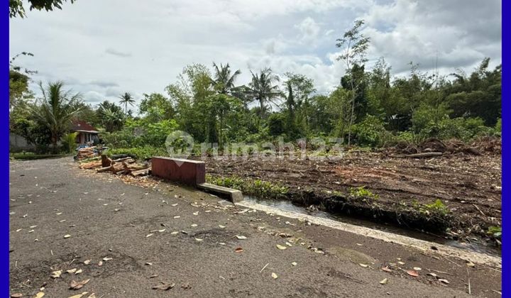 West Yogyakarta Land Jl Palagan 2 Million/Meter SHM Yard